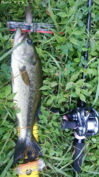 �֥�å��Х�