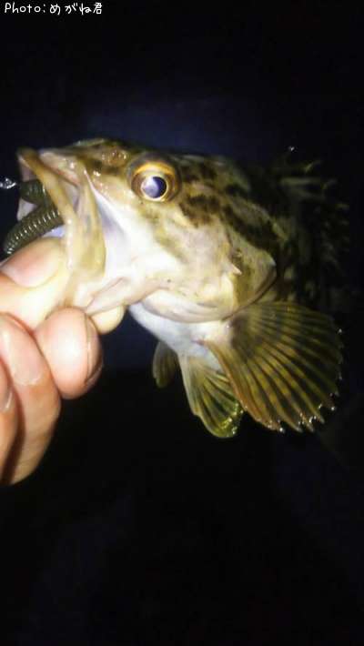 �����Υ���Х�