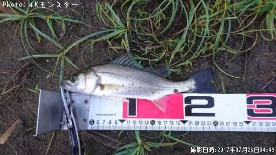 �����Х�