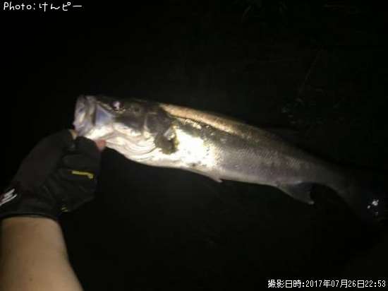 �����Х�