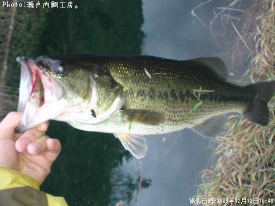 �֥�å��Х�