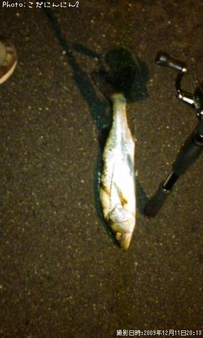 �����Х�