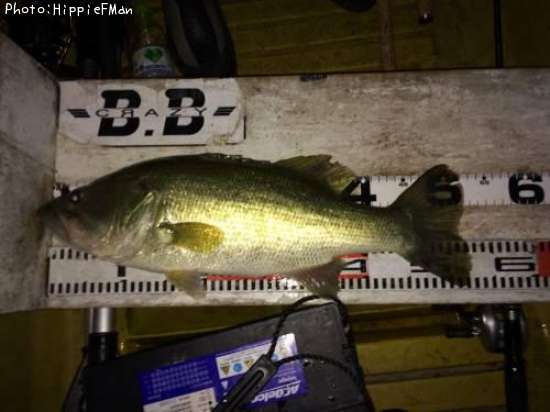 �֥�å��Х�