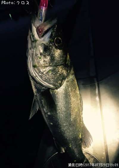 �����Х�