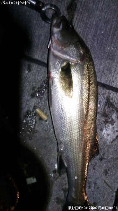 �����Х�