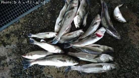 �����Х�