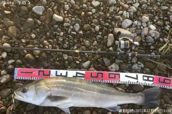 �����Х�