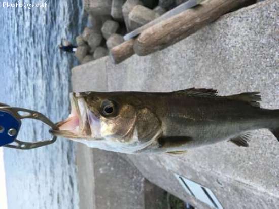 �����Х�