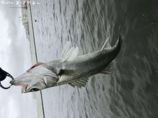 �����Х�