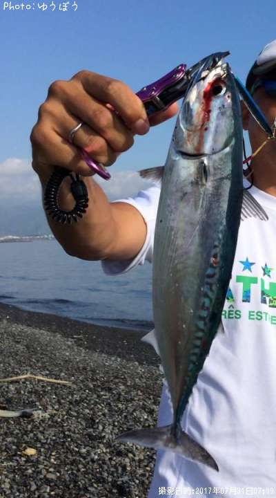 ���������ĥ�