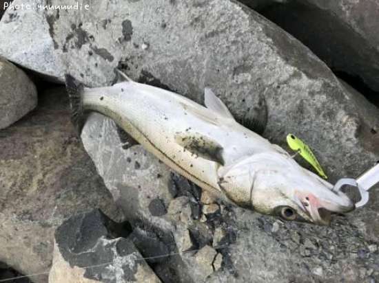 �����Х�