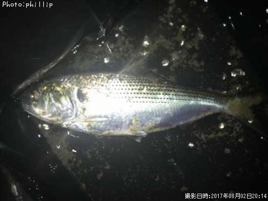 ���Υ���