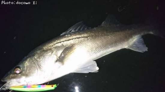 �����Х�