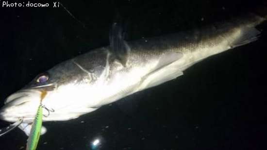 �����Х�