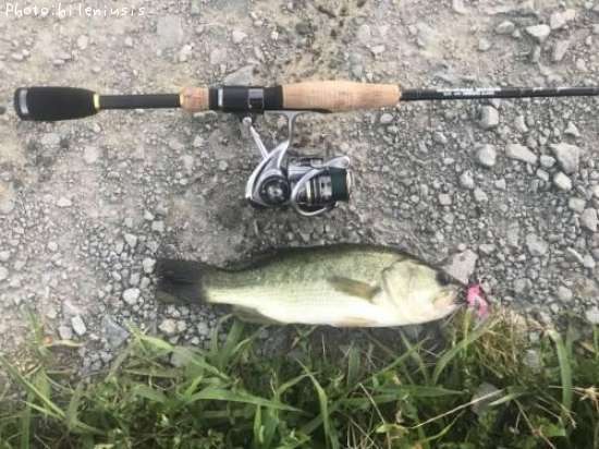 �֥�å��Х�