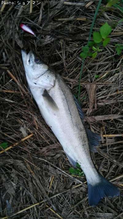 �����Х�