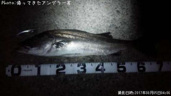 �����Х�