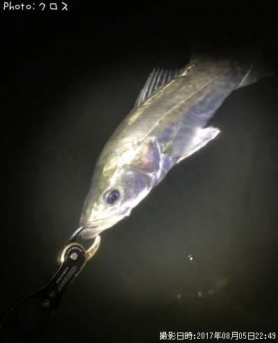 �����Х�