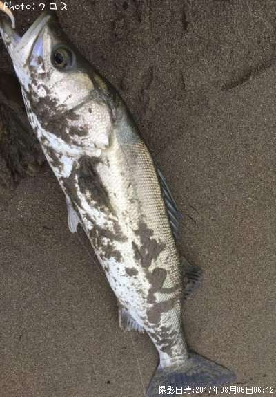 �����Х�