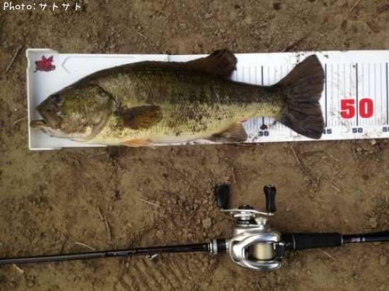 �֥�å��Х�