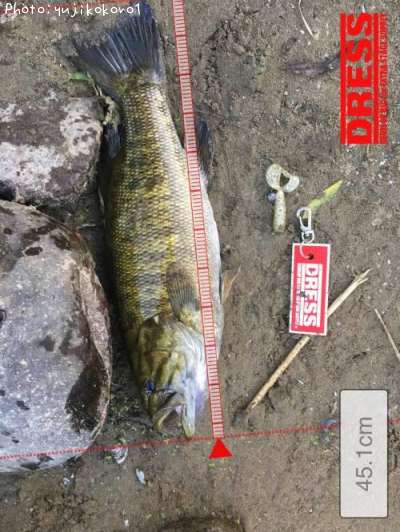 �֥�å��Х�