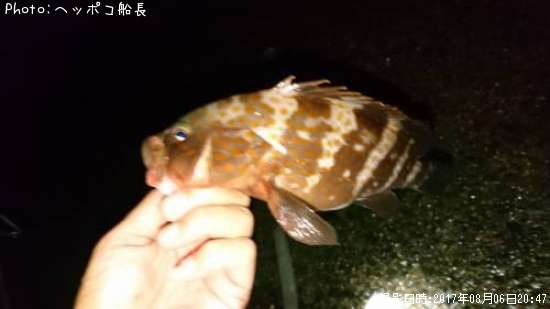 �����ϥ�