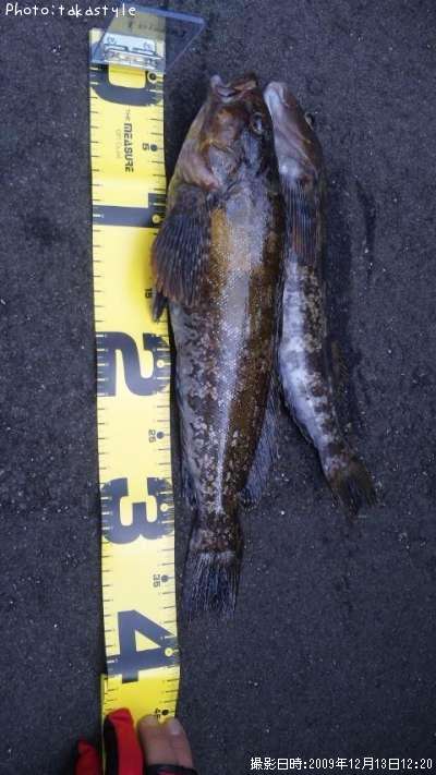 �����ʥ�