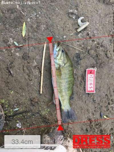 �֥�å��Х�