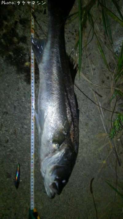 �����Х�