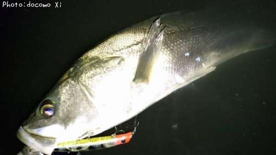 �����Х�