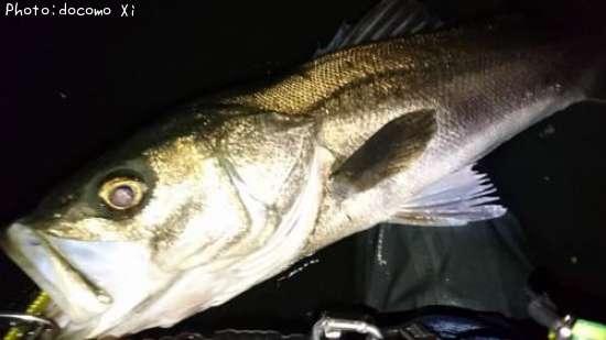 �����Х�