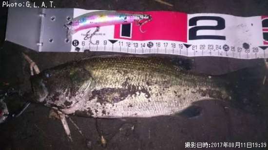 �֥�å��Х�