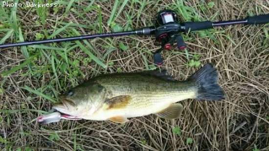 �֥�å��Х�