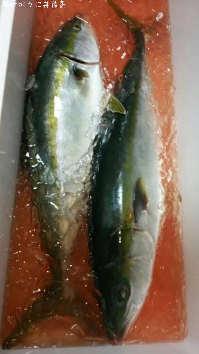 ��饵