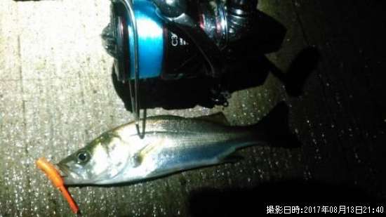 �����Х�