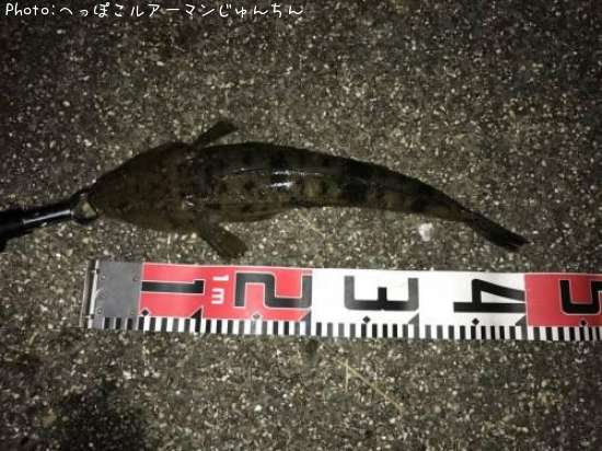 �ޥ���