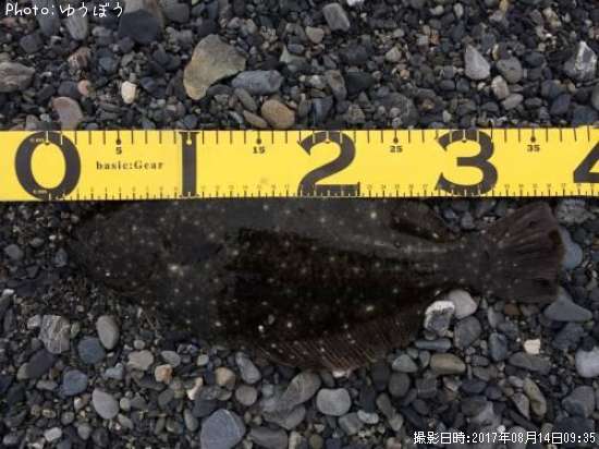 �ҥ��ʥ�����