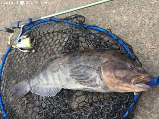 �����ʥ�