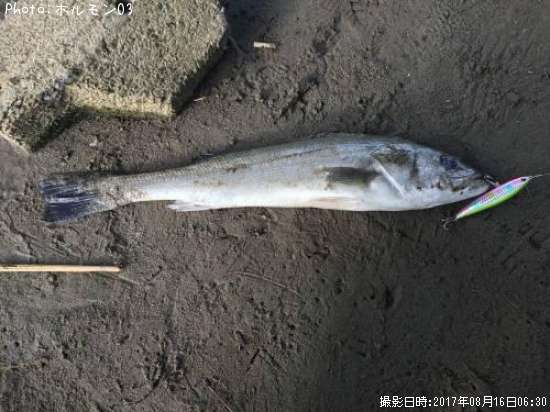 �����Х�