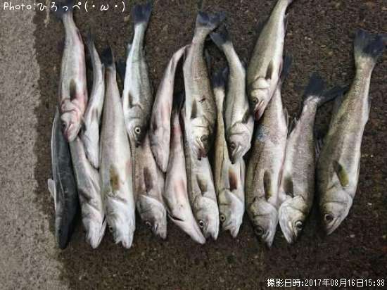 �����Х�