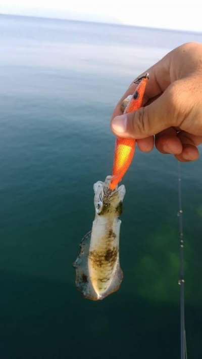 �����ꥤ��