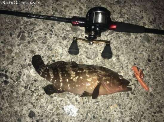 �����ϥ�