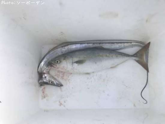 �ĥХ�����������