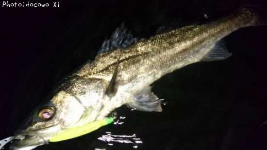 �����Х�