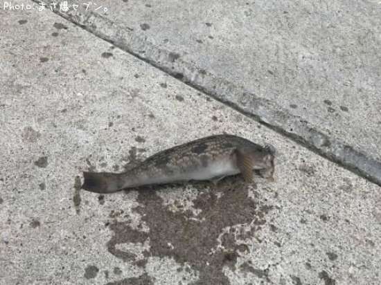 �����ʥ�