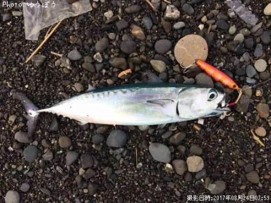 ���������ĥ�