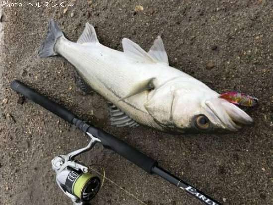 �����Х�