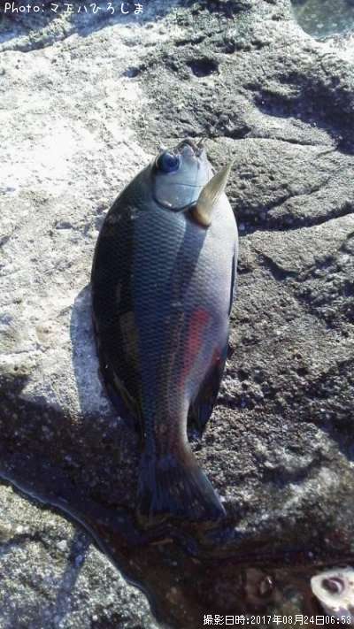 �ߥ�ã����