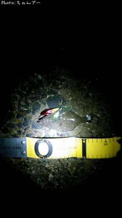 �ҥ��ʤ�����