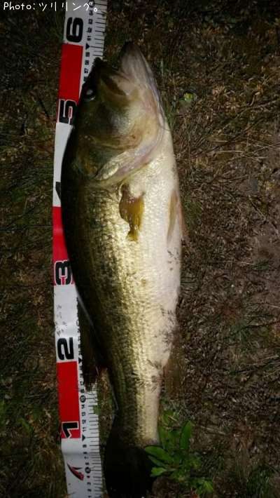 �֥�å��Х�